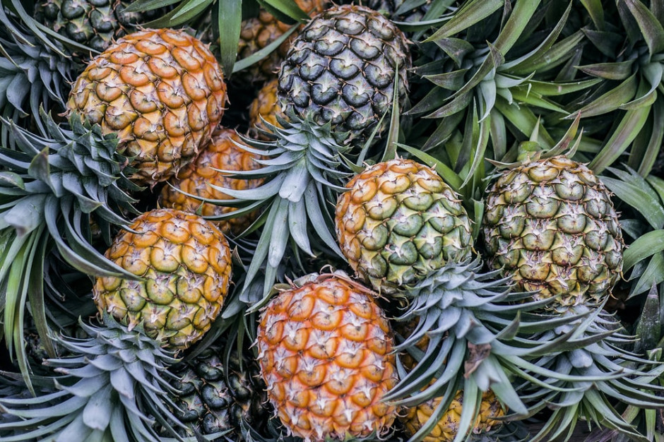 fot. unsplash Naukowcy o zakazie wwozu m.in. owoców do UE: podobne rozwiązania są stosowane na świecie