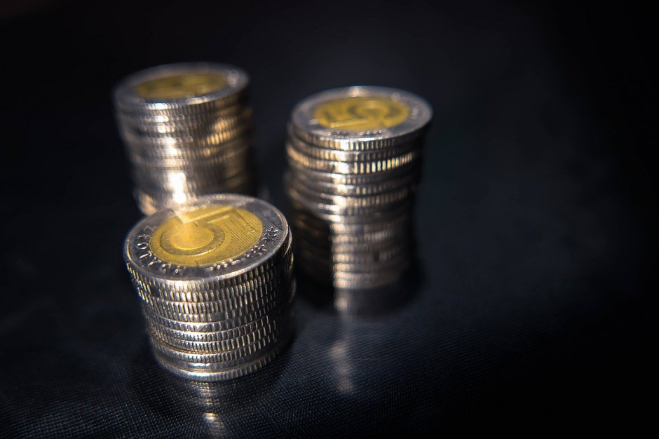fot. pixabay.com Polska gospodarka wyhamuje bez kryzysu