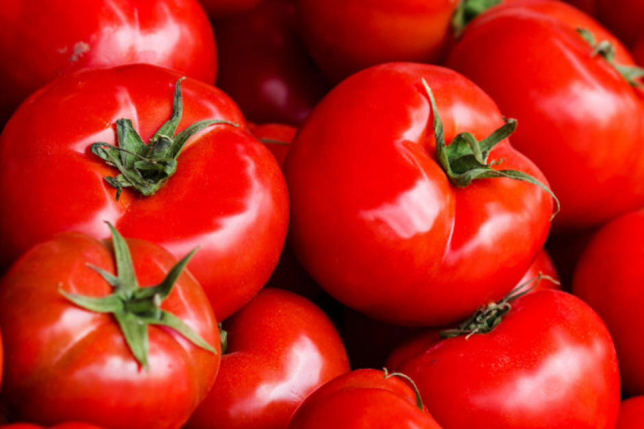 fot. shutterstock Europejscy konsumenci cenią mniejsze odmiany pomidorów