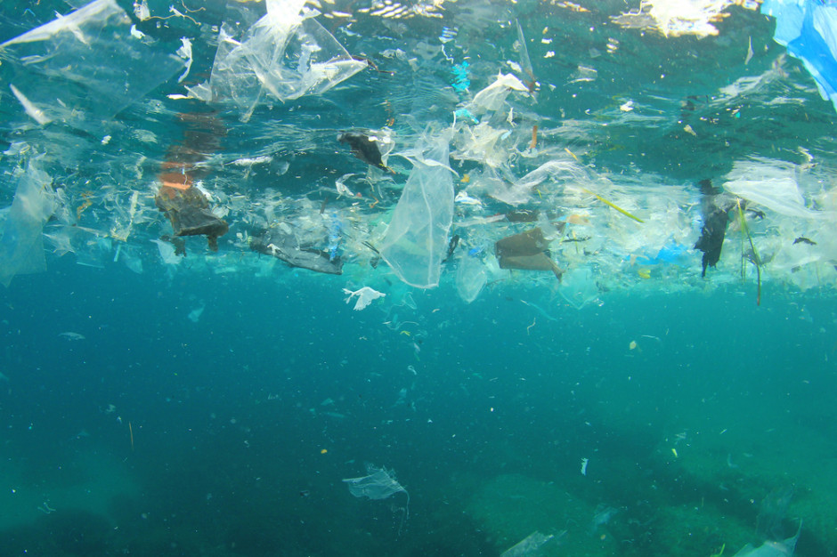 fot. shutterstock Deloitte: Zanieczyszczenie wód plastikiem generuje straty dla gospodarki