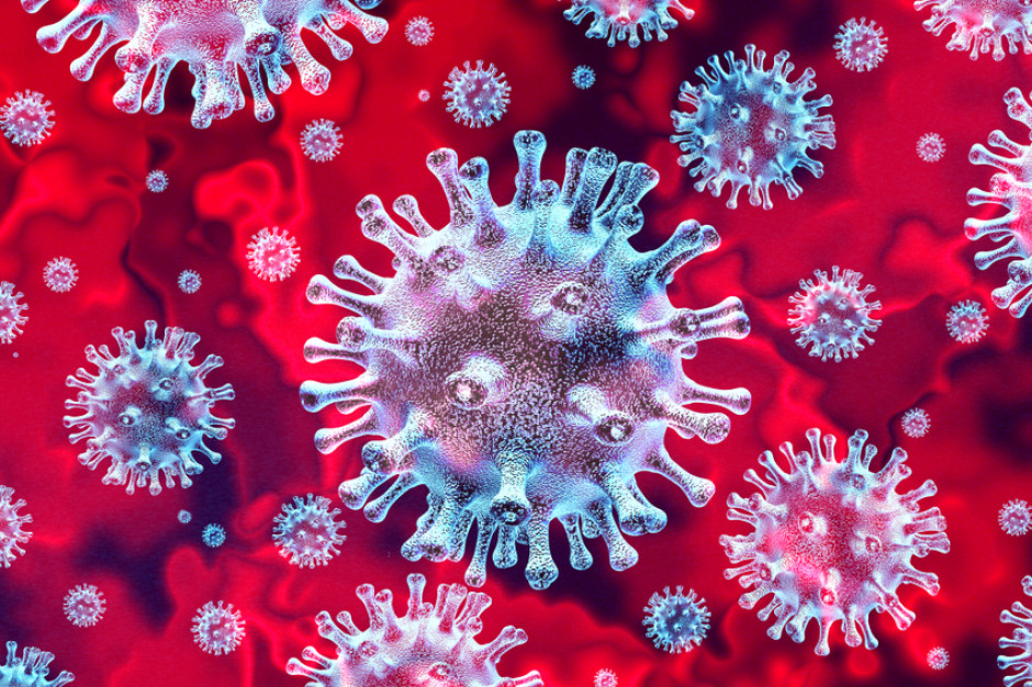 fot. shutterstock Ekspert: Zakażenia odzwierzęce są najczęściej wirusowe