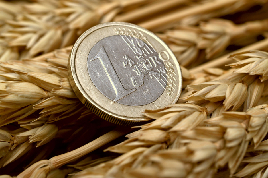 fot. Shutterstock Zniżka cen zbóż na światowych giełdach