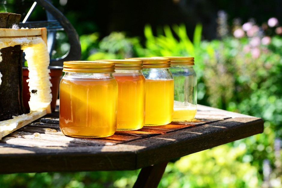Opłacalność pasiek w Europie niszczy import z Chin i zalew rynku przez fałszowane produkty. fot. pixabay.com/PollyDot Producenci miodu w Unii Europejskiej biją na alarm