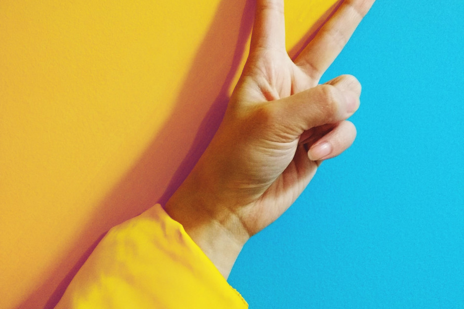 Ukraina wywarła na UE silną presję na wznowienie możliwości eksportu drobiu, fot. Rae Tian on Unsplash UE rezygnuje z zakazu importu drobiu z Ukrainy pod silną presją Kijowa