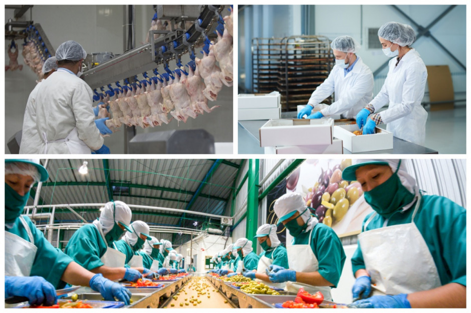 Poradnik dla producentów żywności: Jak zadbać o bezpieczeństwo pracowników i produkcji?, fot. shutterstock Poradnik dla producentów żywności: Koronawirus - jak zadbać o bezpieczeństwo pracowników i produkcji?