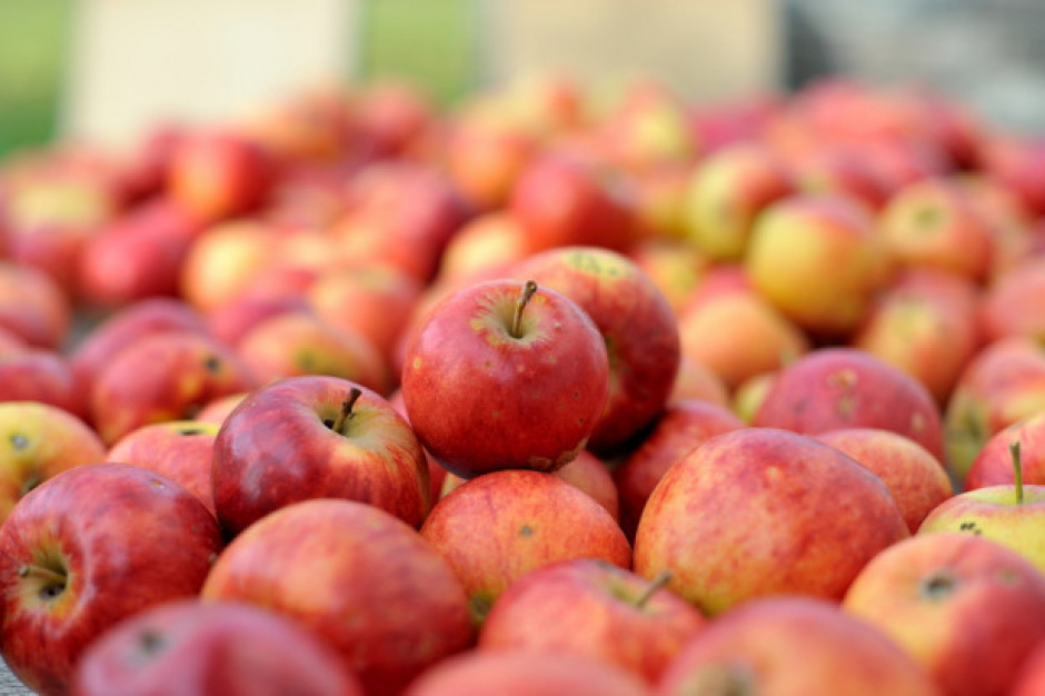 Ukraińskie śledztwo ws. właściciela T.B. Fruit; fot. shutterstock.com Właściciela T.B. Fruit oskarżono o próbę fikcyjnego bankructwa i uchylenia się od spłaty kredytu