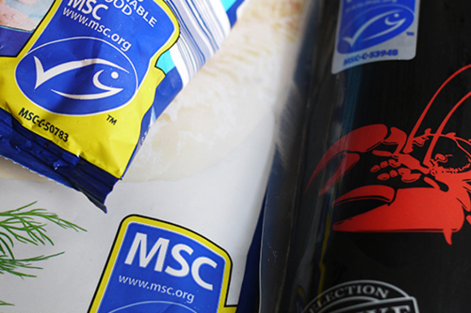 MSC wprowadza 6-miesięczną prolongatę procesu oceny i certyfikacji, fot. msc.org MSC wprowadza 6-miesięczną prolongatę procesu oceny i certyfikacji