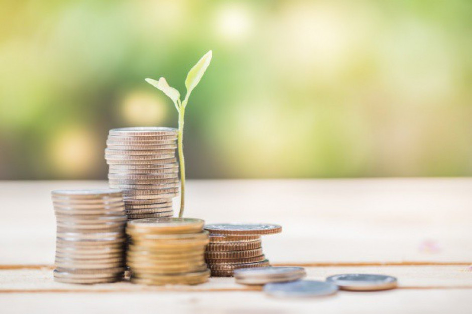 fot. shutterstock ZSRP: Są problemy z zawarciem ubezpieczenia upraw rolnych