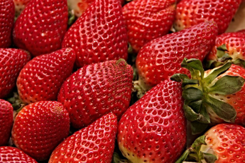 Producenci truskawek martwią się o tegoroczne zbiory/ fot. pixabay.com Producenci truskawek martwią się o zbiory