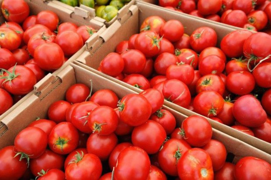 Rosja rozważa ograniczenie importu pomidorów
