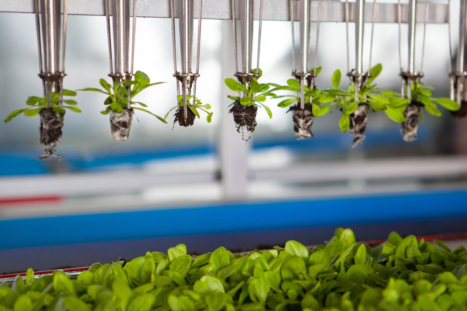 EIT Food prowadzi rekrutacje na 3 programy; fot. materiały prasowe EIT Food rekrutuje na programy dla przedsiębiorców