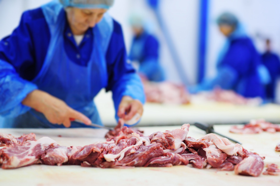 Zastosowanie metody wysokich ciśnień w przetwórstwie mięsa i produktów mięsnych; fot. shutterstock.com Zastosowanie metody wysokich ciśnień w przetwórstwie mięsa i produktów mięsnych