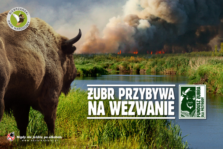 Marka Żubr powołała Fundusz Żubra, fot. materiały prasowe Marka Żubr powołała Fundusz Żubra