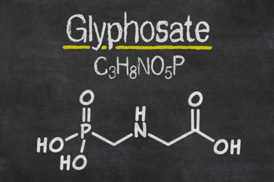 Czy pozostałości glifosatu w żywności są groźne dla konsumentów?