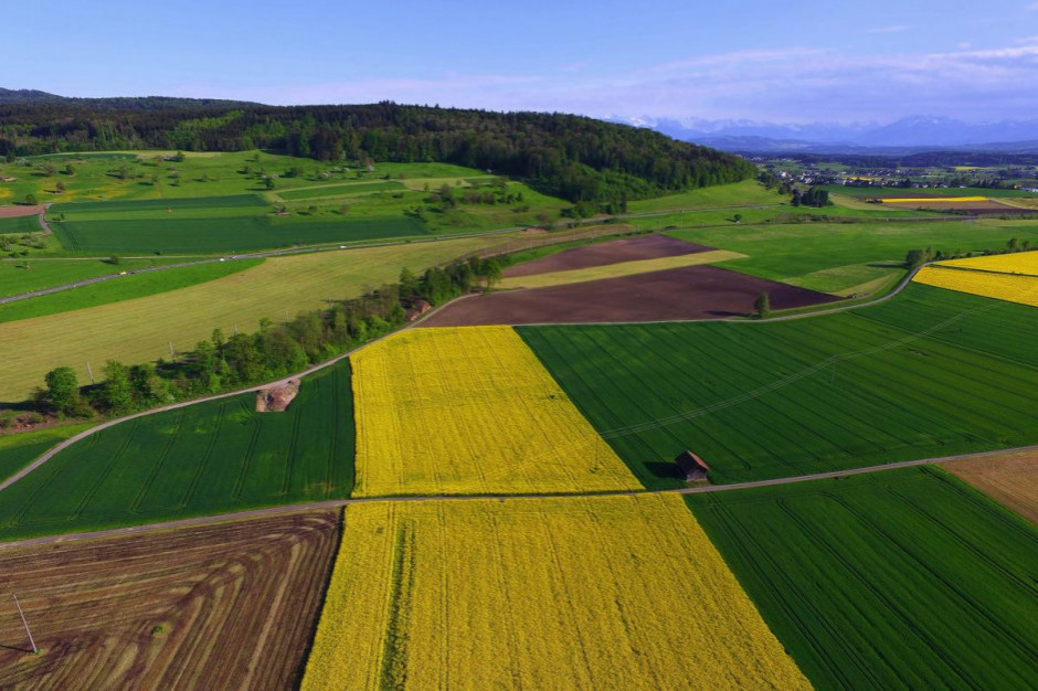 KE wskazuje ekologiczny kierunek produkcji żywności i rolnictwa w UE, fot. unsplash KE wskazuje ekologiczny kierunek produkcji żywności i rolnictwa w UE