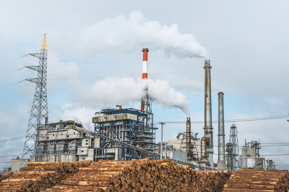 W latach 2015-2018 Specjalne Strefy Ekonomiczne nie osiągały celów założonych przez rząd, a pomoc publiczna nie trafia tam, gdzie powinna fot. Shutterstock Mizerne efekty specjalnych stref ekonomicznych