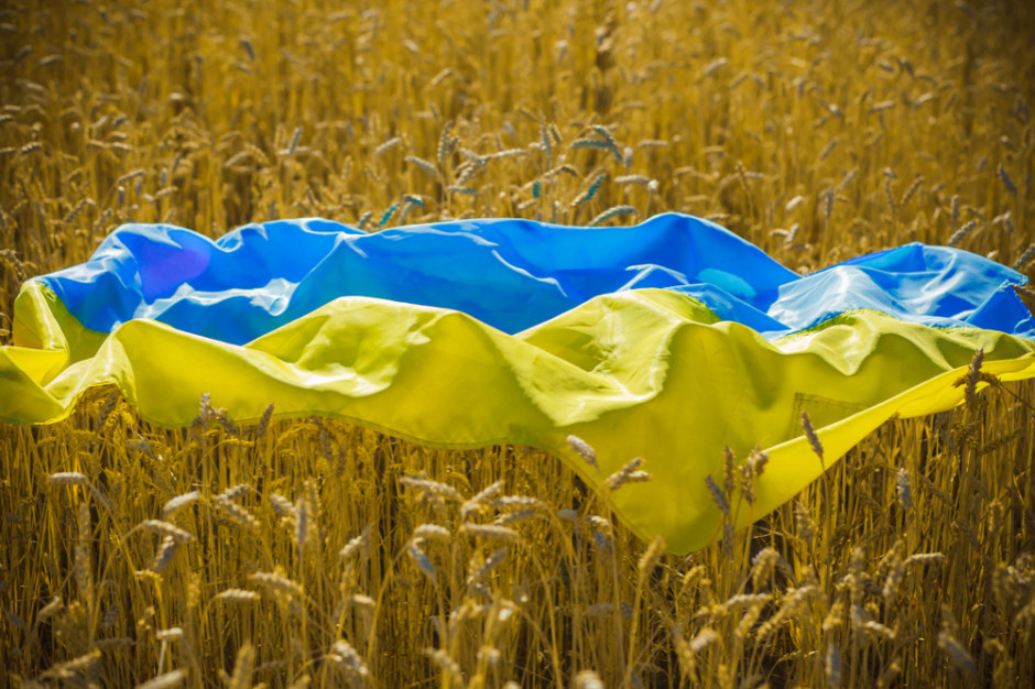 Odmrażanie gospodarki ożywiło popyt na pracowników z Ukrainy. fot. Shutterstock Ukraińcy powoli wracają