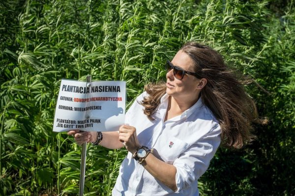 Pole konopi, Ewa Melania Gryt, założycielka spółki General Hemp Marketing fot. materiały prasowe Polskie rolnictwo ma duży potencjał do uprawy konopi