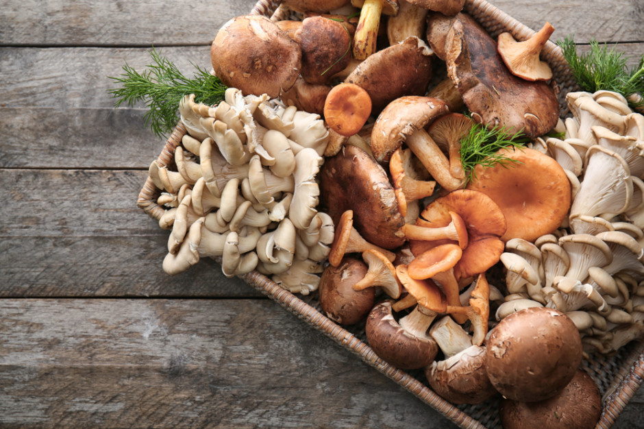 Ministerstwo Zdrowia umożliwi produkcję mieszanek suszonych grzybów z różnych gatunków, fot. shutterstock Ministerstwo Zdrowia umożliwi produkcję mieszanek suszonych grzybów z różnych gatunków