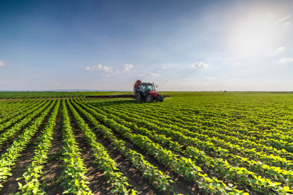 Ministerstwo polityki rolnej i żywności działało na Ukrainie od 2010 roku i zostało zlikwidowane we wrześniu 2019 roku. fot. Shutterstock Prezes KSG Agro: ponowne powołanie resortu rolnictwa na Ukrainie może mieć pozytywne skutki