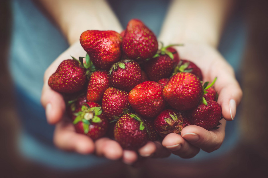 Pomóż zbierać owoce i warzywa, a przy okazji przeżyj coś wspaniałego; fot. unsplash.com Myzbieramy.pl: plantacje proponują chętnym zbiory owoców i warzyw