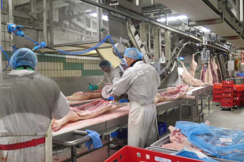 Zakłady mięsne w Rheda-Wiedenbrück ogniskiem epidemii Covid-19; fot. materiały prasowe Farmer.pl Ognisko koronawirusa w niemieckich zakładach mięsnych