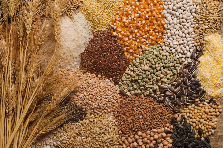 AGROmapa przygotowana przez ekspertów Credit Agricole; fot. shutterstock Perspektywy dla silnego wzrostu cen zbóż pozostają ograniczone