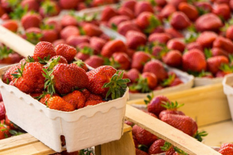 Początek czerwca przyniósł obniżki cen truskawek na rynkach hurtowych/ fot. shutterstock Ceny truskawek 2020: Początek czerwca przyniósł obniżki na rynkach hurtowych