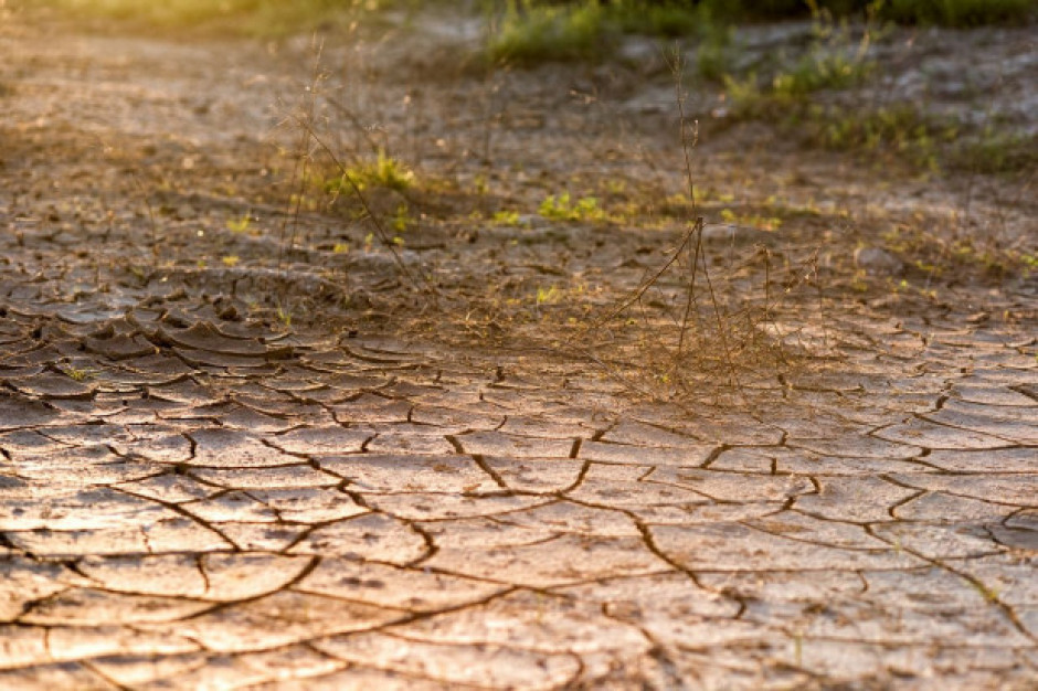 Ulewne deszcze występujące w całym kraju znacznie zmniejszyły suszę rolniczą; fot. shutterstock.com IUNG: Ulewne deszcze znacznie zmniejszyły suszę rolniczą