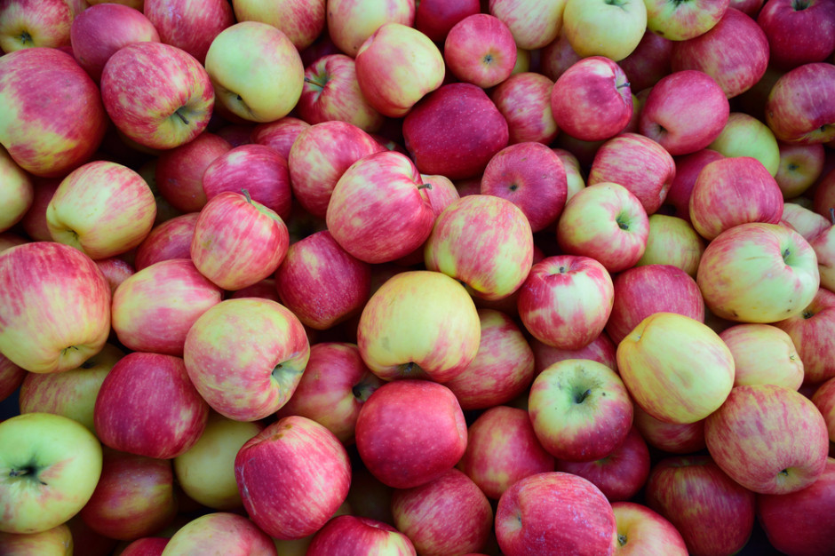 Biedronka wprowadza do sprzedaży polskie jabłka ekologiczne