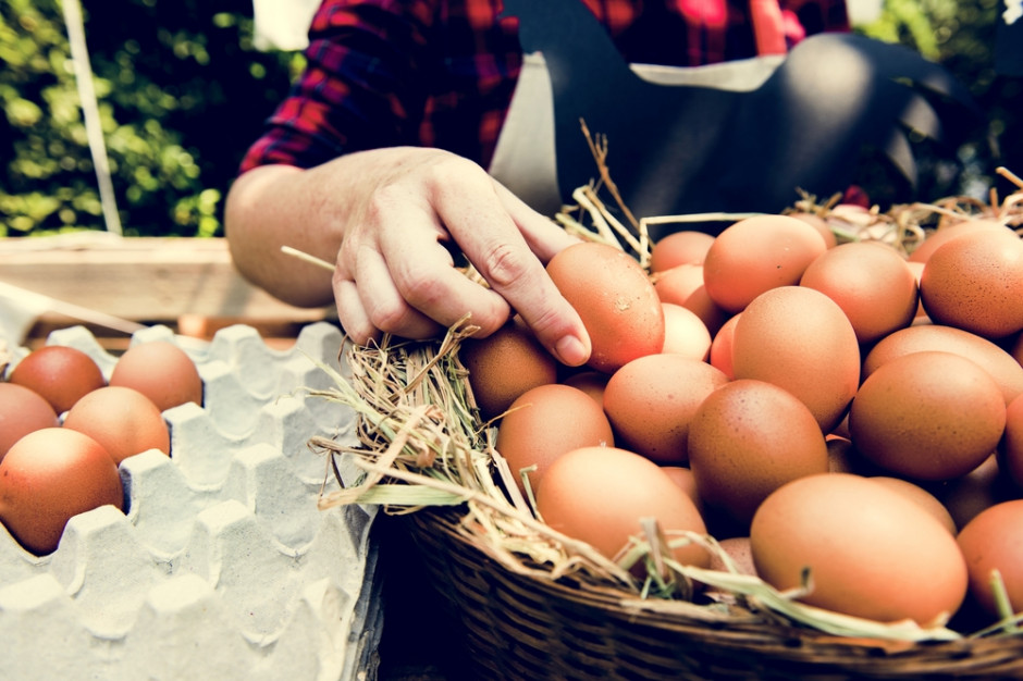Dlaczego Polacy wolą kupować brązowe jaja?