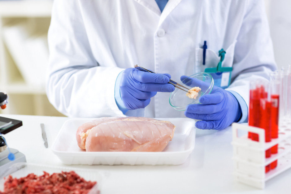 Spór dotyczący metod zwalczania salmonelli uwypuklił podziały w branży drobiarskiej. fot. shutterstock Kto ma rację w drobiarskim sporze o salmonellę?