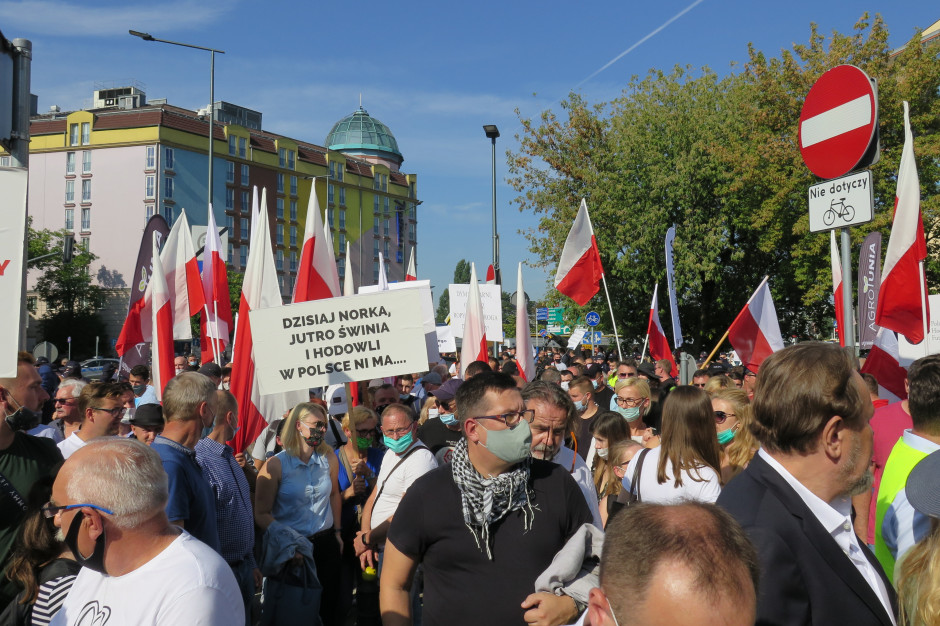 W Warszawie odbył się protest przedstawicieli środowisk rolniczych przeciwko zmianom w ustawie o ochronie zwierząt. fot. Farmer Warszawa: Rolnicy protestowali przeciwko projektowi dot. zmian w ustawie o ochronie zwierząt