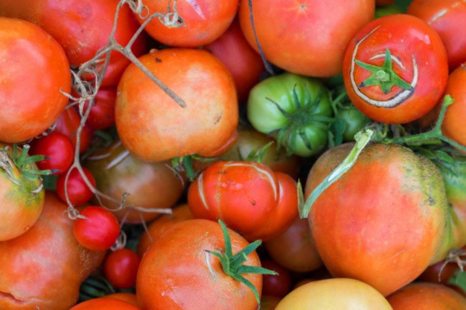 Podczas pandemii wzrosło zainteresowanie nieperfekcyjnymi warzywami i owocami/ fot. shutterstock USA: wzrosło zainteresowanie nieperfekcyjnymi warzywami i owocami