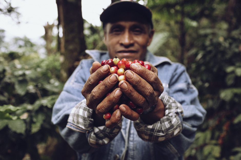 Plantatorzy kawy zmagają się ze skutkami kryzysu klimatycznego i pandemią