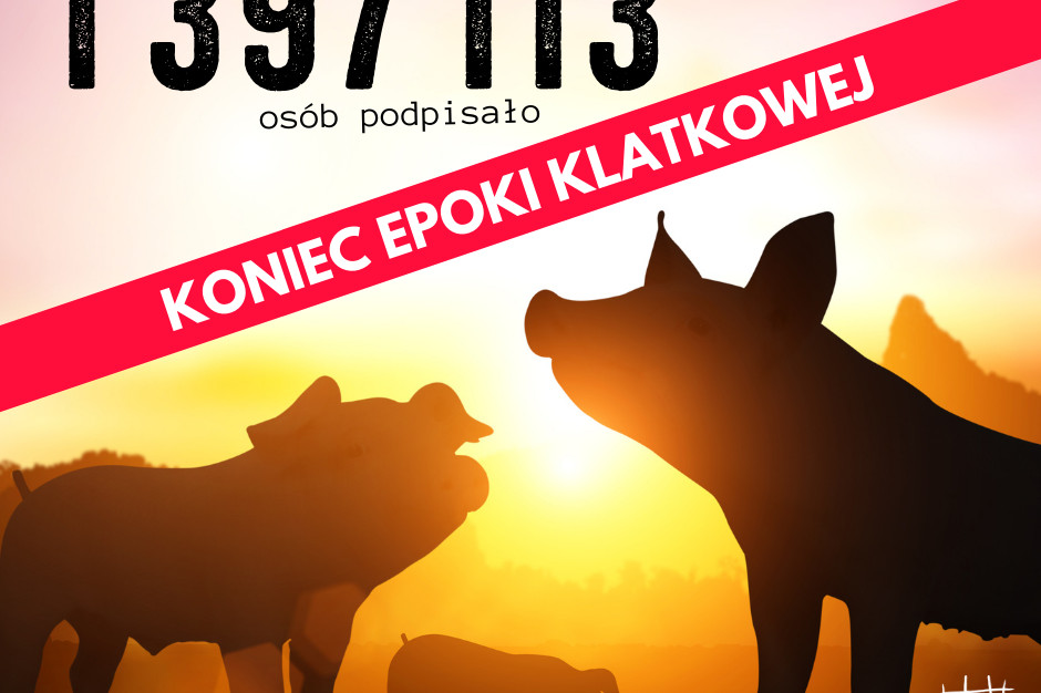 Organizacja CIWF zebrała 1,4 mln podpisów pod zakazem hodowli zwierząt w klatkach. fot. mat. pras. CIWF zebrała 1,4 mln podpisów pod zakazem hodowli zwierząt w klatkach
