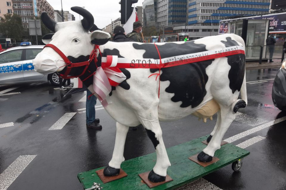 Przed Sejmem trwa protest rolników sprzeciwiających się zmianom w ustawie o ochronie zwierząt