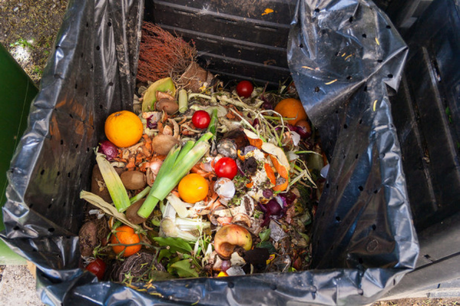 Straty i marnotrawstwo żywności to problem globalny; fot. shutterstock.com Światowy Dzień Żywności: marnotrawstwo żywności w Polsce coraz poważniejszym problemem