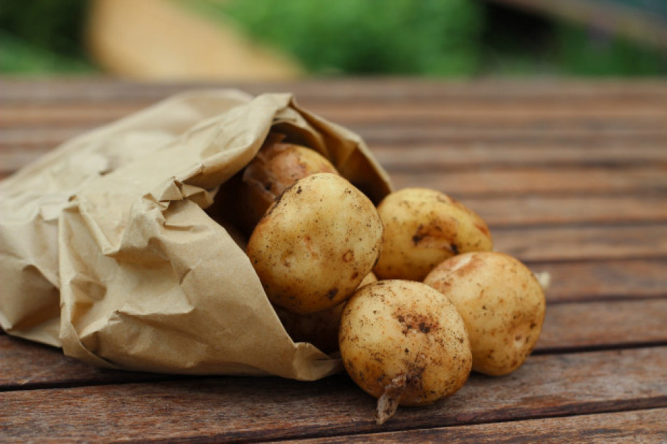Warzywa są ważnym elementem w jadłospisie weganina/ fot. pixabay.com Ziemniaki – ważny produkt w diecie wegańskiej