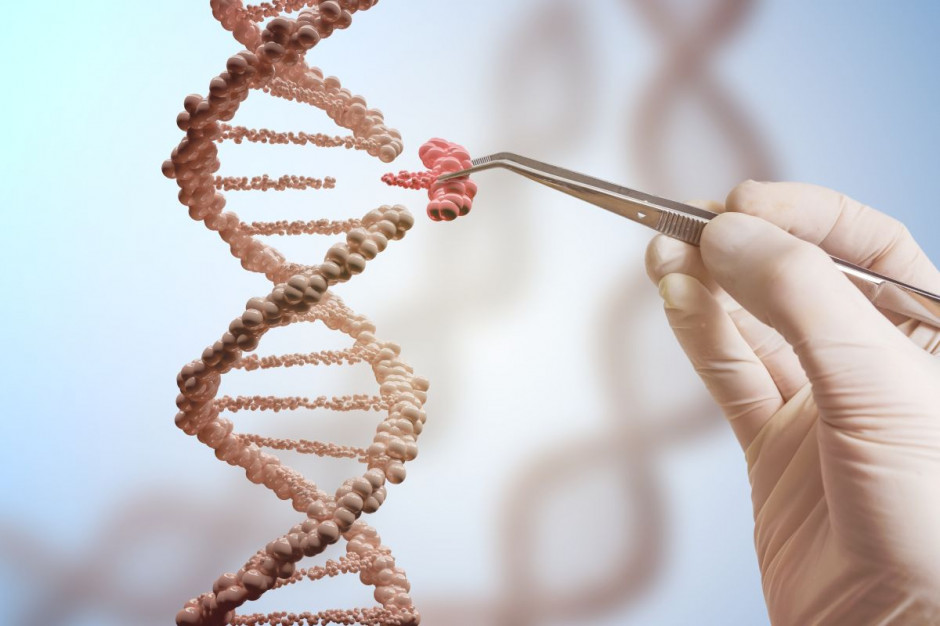 Nowelizacja ustawy o paszach; fot. shutterstock.com Sejm: przesunięcie terminu wejścia w życie zakazu stosowania pasz genetycznie modyfikowanych do 1 stycznia 2023 r.