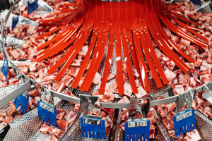 Zdjęcie numer 4 - galeria: Produkcja mięsa: Rozwiązania Ishida, które ułatwiły ekspansję na chińskim rynku