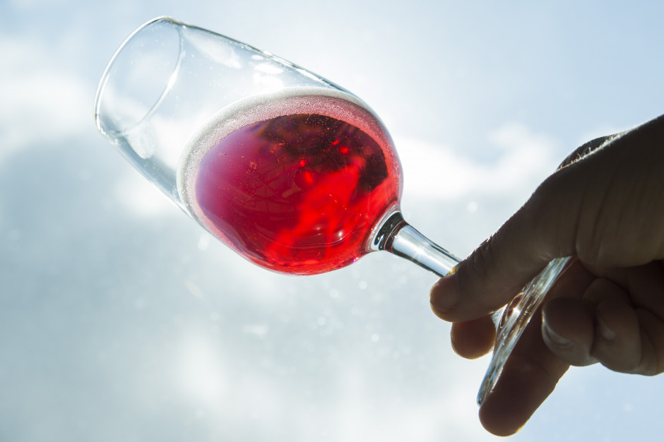 fot. materiały prasowe We Włoszech powstanie konsorcjum chroniące i promujące na świecie wina Lambrusco