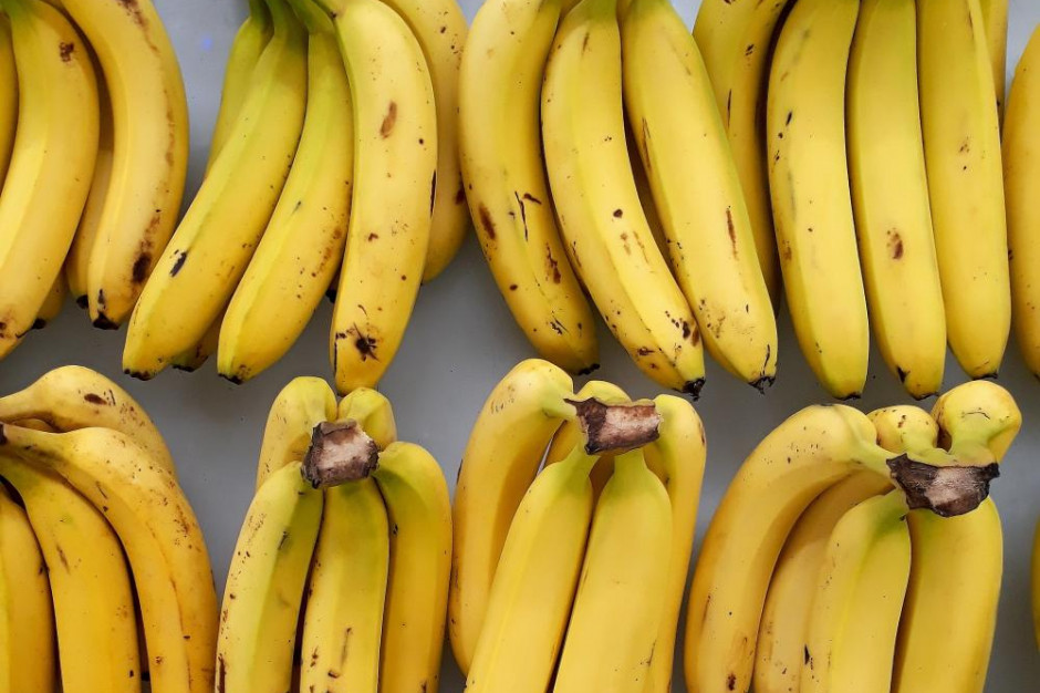 Prawie pół tony kokainy znaleziono w kontenerze z bananami