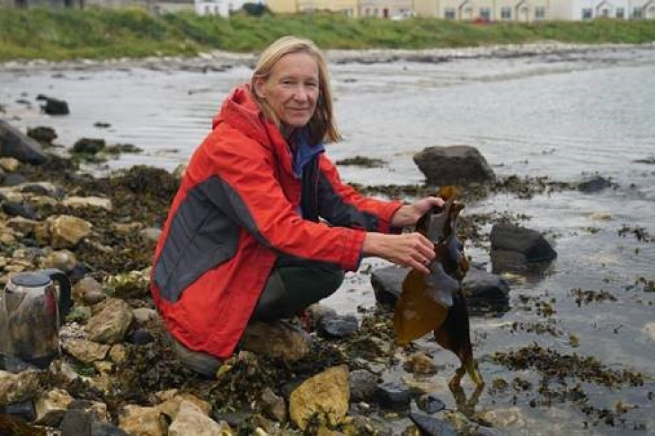 Wodorosty kelp mają tyle samo białka, co wołowina