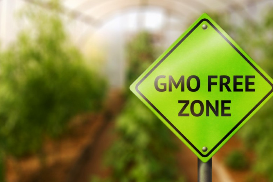 Zakaz stosowania pasz GMO odroczony do 2023 roku