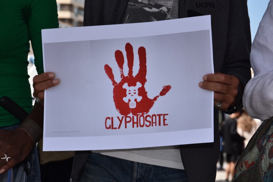 Jakie będą dalsze losy glifosatu w UE? fot. shutterstock UE chce ograniczać możliwości stosowania glifosatu