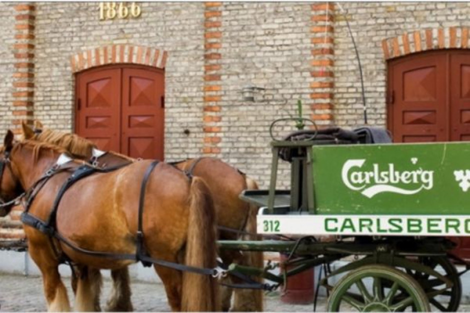 Carlsberg Group zmodernizowała swoją infrastrukturę i zoptymalizowała środowisko produkcyjne SAP, migrując 1 600 TB danych do Microsoft Azure. fot. materiały prasowe Carlsberg Group przenosi się do chmury