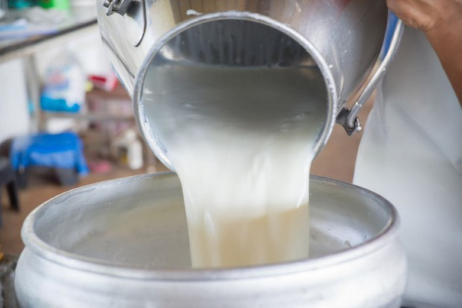Nowy formularz dla podmitów skupujących mleko /fot. Shutterstock KOWR wprowadza nowy formularz dla podmitów skupujących mleko