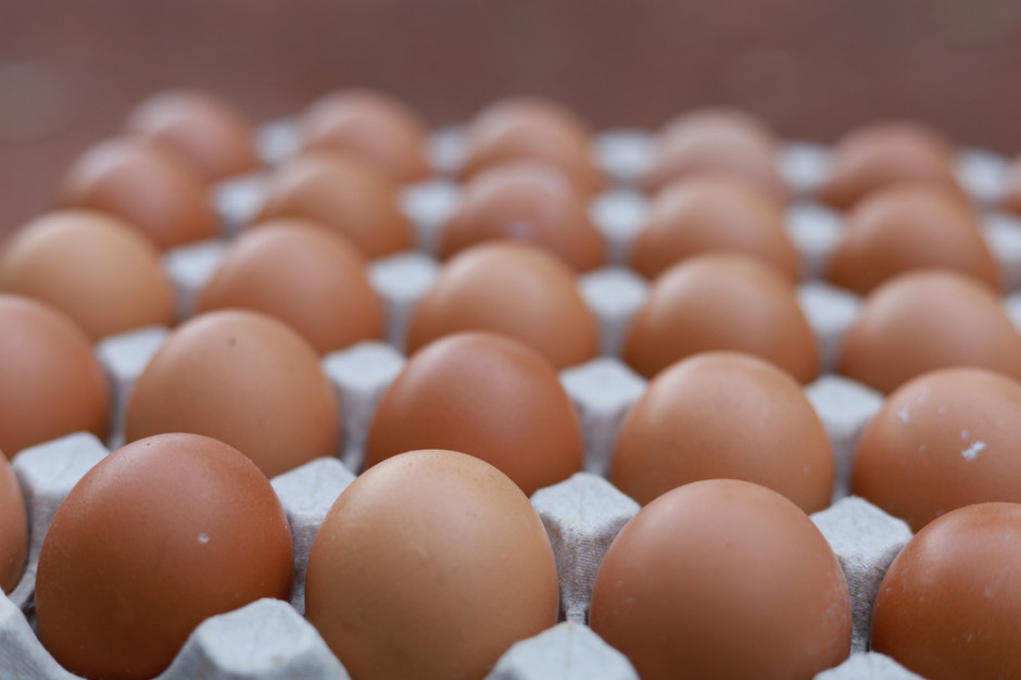 Z powodu silnie zakaźnej odmiany grypy ptaków, która szerzy się w Korei Płd. od listopada, w kraju zaczęło brakować jajek. fot. shutterstock W Korei Południowej przez grypę ptaków zabrakło jajek