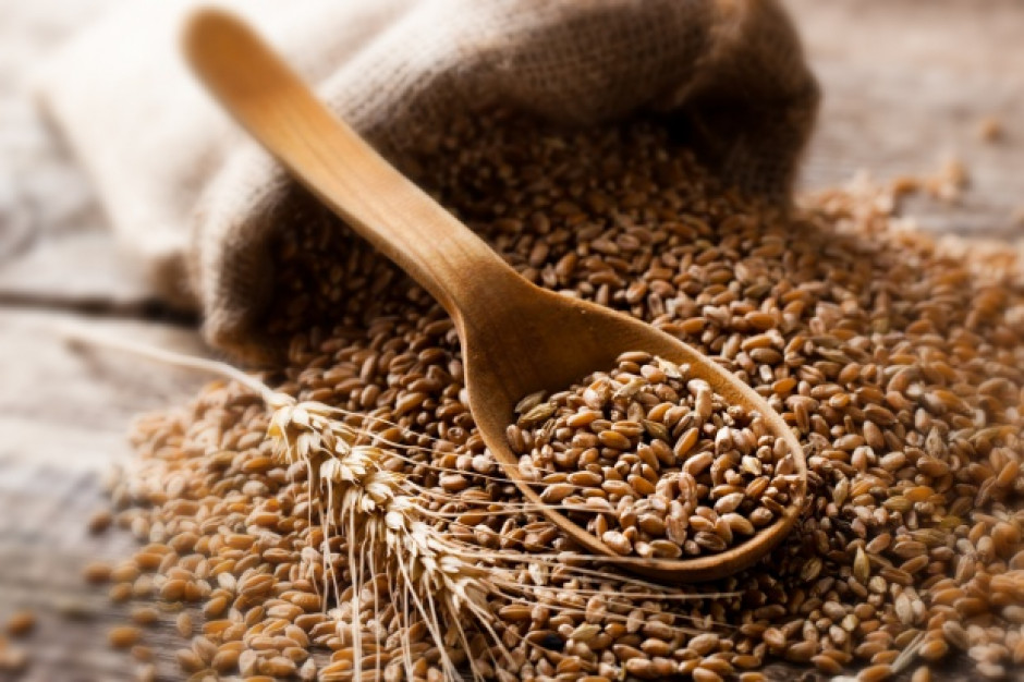 Ruszyły dopłaty do materiału siewnego /fot. Shutterstock Dopłaty do materiału siewnego płyną na konta rolników